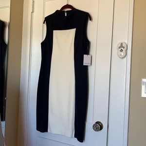 New Calvin Klein Mockneck Sheath Dress 12
